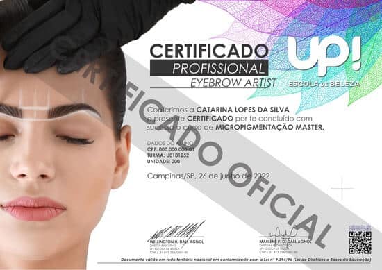 certificado oficial micro master